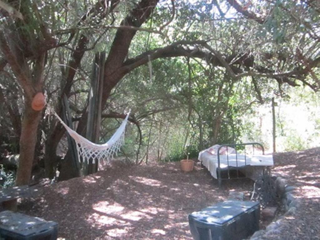 Cabana De Adobe En 라고 라펠 객실 사진