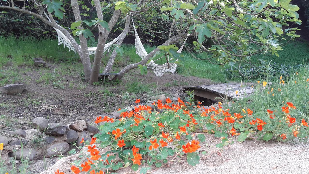 Cabana De Adobe En 라고 라펠 외부 사진